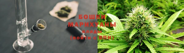 дурь Магас