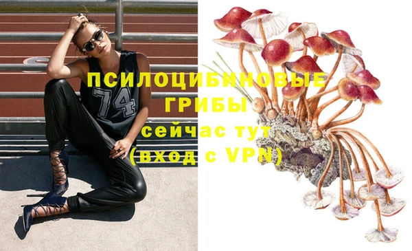дурь Магас