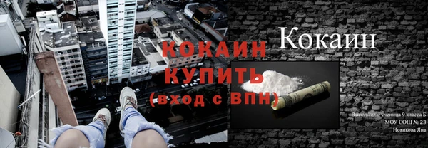 дурь Магас