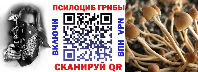 Псилоцибиновые грибы Psilocybe  Купить где  Арск 